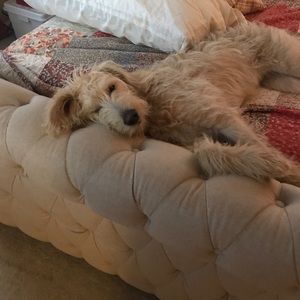 Meet your Posher, Cammie